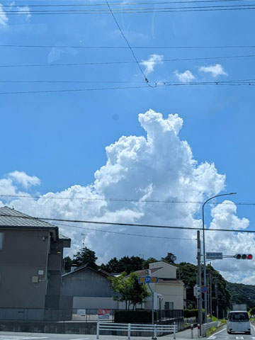 外出同行