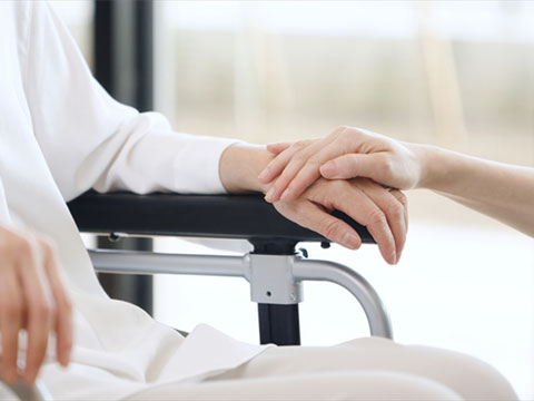 ���J�ȑΉ�